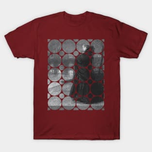 Minimalist "Bridge of Sighs" divided into Circles T-Shirt